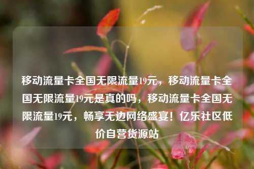 移动流量卡全国无限流量19元，移动流量卡全国无限流量19元是真的吗	，移动流量卡全国无限流量19元，畅享无边网络盛宴！亿乐社区低价自营货源站  第1张