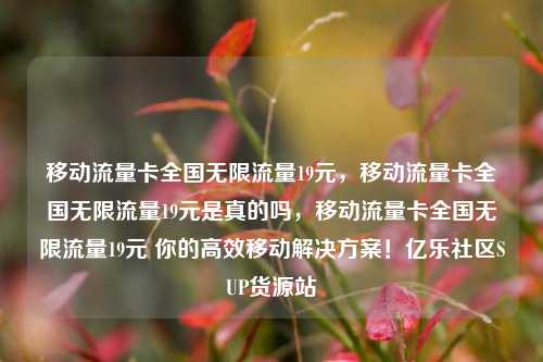 移动流量卡全国无限流量19元，移动流量卡全国无限流量19元是真的吗，移动流量卡全国无限流量19元 你的高效移动解决方案！亿乐社区SUP货源站  第1张